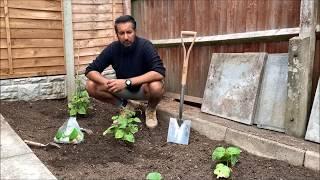 How to get healthy nutrient rich soil