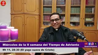 Evangelio de Hoy Miércoles 11 de diciembre 2024 | ️ | Padre Felipe Brito | Mt 11, 28-30