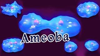 Giving birth- Ameoba giving birth Binary Fission in Ameoba - Clapp™