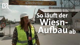 Oktoberfest-Aufbau: Eine Führung gewährt tiefe Einblicke | Wir in Bayern | BR