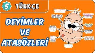 Deyimler ve Atasözleri | 5. Sınıf Türkçe evokul Kampı