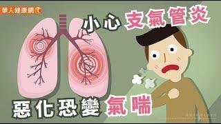 【華人健康網】健康小學堂 - 過敏族注意！感冒咳嗽3週未癒？小心支氣管炎惡化恐變氣喘