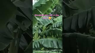 Enjoy the fragrance of nature ##