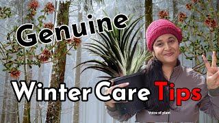 8 TIPS सर्दियों में कैसे करे देखभाल - HOW TO CARE PLANTS IN WINTER  #wintercare #gardening  #plants