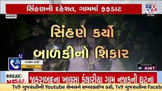 અમરેલીમાં 7 વર્ષની બાળકી બની સિંહણનો શિકાર | Amreli | TV9Gujarati