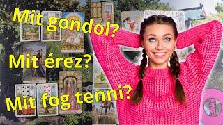 ORAKEL a szerelmi kapcsolatodra Jóslás #ikerláng #tarot #lelkitárs