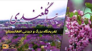 Afghanistan's big and spectacular playground | تپه گلغندی تفریحگاه بزرگ و دیدنی افغانستان