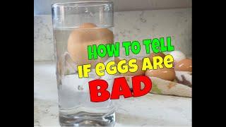 How to tell if a egg is bad? (Egg water test)