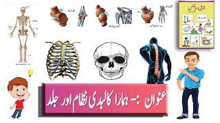 SKELETAL SYSTEM (کالبدی نظام- جماعت ششم)