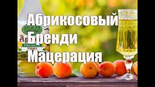 Абрикосовый мацерат   Абрикосовый бренди в домашних условиях  Видео 18+