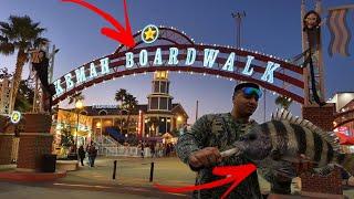 Fishing DOCKS for BIG SHEEPSHEAD! (Kemah Boardwalk￼) last video of 2023…