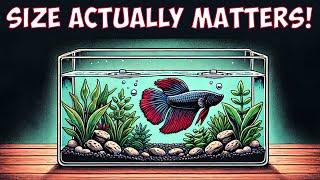 The Truth About Betta Tanks: Why Bigger Is Better