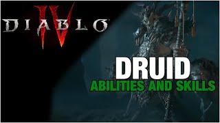 Druid Class Skill Tree & Abilities - Diablo 4 [4k]