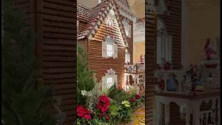 Christmas magic in Disney! #grandfloridian #gingerbreadhouse #disneymagic #mustsee #shorts