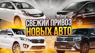 БЕЗ ПРОБЕГА - СВЕЖИЙ ПРИВОЗ АВТО  I MOHAVE I SORENTO I ACCENT I SORENTO  I STEPWGN I ISIS I HUSTLER