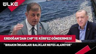 "Bırakın İnsanları Balıklar Nefes Alamıyor!" Erdoğan'dan CHP'ye İzmir Körfezi Göndermesi...