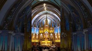 Notre-Dame Basilica of Montreal. #shorts #god #faith #christ #basilica #church #notredame