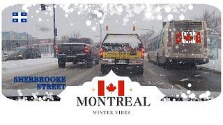 Driving in Montreal (4K)  Sherbrooke Street  Canada  ️Snowy day️ #winter #snowfall #2024