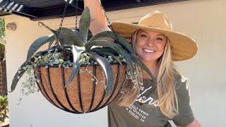 Making The Coolest Hanging Baskets  Featuring Proven Winners Mangave!