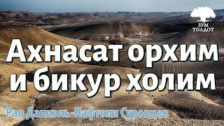 Ахнасат орхим и бикур холим. Рав Даниэль Нафтоли Суровцев