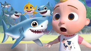 Baby Shark |Baby shark Song and dance |Nursery Rhymes & Kids song |Dance Party for Kids|