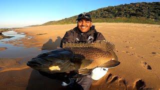 Kam's Giant Rockcod of the Ledges @Ansteys, South Africa