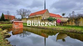 Blütezeit* – Gravenhorster SAISONALE startet im DA, Kunsthaus