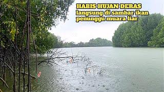 Habis hujan deras! Niat mancing kakap putih malah disambar ikan besar penunggu akar pohon bakau