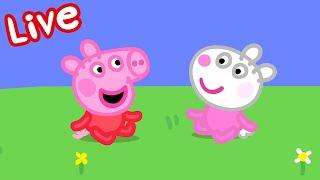 Peppa Pig Full Episodes  Peppa Pig STREAMING NOW  Kids Videos 