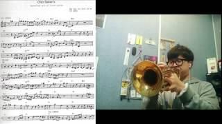 autumn leaves chet baker solo / 재즈트럼펫 / JAZZ TRUMPET /chet baker solo /고엽 트럼펫