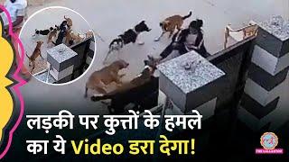 घर के बाहर बात कर रही लड़की पर कुत्तों का Attack, बुरी तरह नोंचा, CCTV Viral | Alwar Dog Bite Case