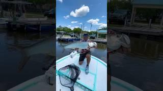 Quick clips of my first tarpon #urbanfloridafishing #tarponfishing #saltwaterfishing #fishing