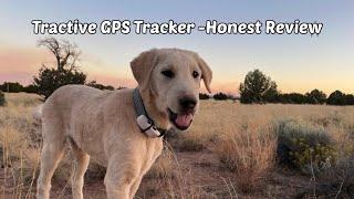 Tractive GPS Pet Tracker Review