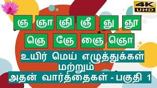 தமிழ்-ஞ வரிசை உயிர் மெய் எழுத்துக்கள்-பகுதி 1(ஞ முதல் ஞொ வரை)/nja varisai uyir mei eluthukkal 4K UHD