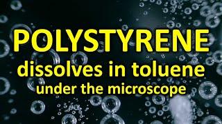 Polystyrene dissolves in toluene under the MICROSCOPE // invisible world