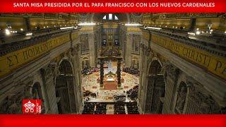 Santa Misa con los nuevos cardenales, 8 de diciembre de 2024 - Papa Francisco