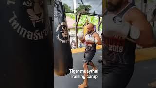 Training at Tiger muaythai camp at Phuket, Thailand #chaitanyagavali #mma  #muaythai #teamwargavali