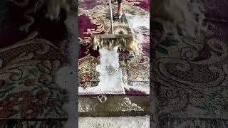 foam scraping  #satisfying #satisfyingrugcleaning #cement