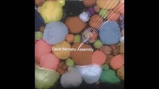 David Bernabo - Assemblee / Black Is a Color for a Folk Song (2007)