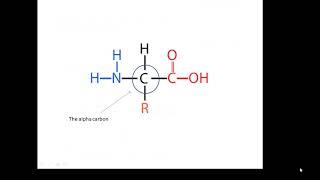 BTEC Applied Science: Unit 3 Enzymes 1