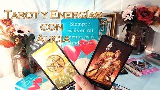  Siempre estás en Su Mente ‍️ esté Donde esté  AlmasGemelas//Ex's  #tarot