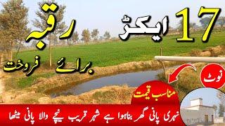 17 acer Land for sale in punjab pakistan | Agriculturr zameen for sale | Raqba for sale | Ep 64