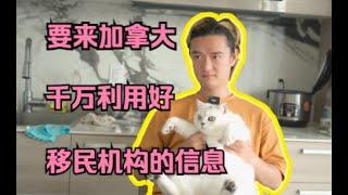 如何让加拿大移民中介为我所用｜从上海到多伦多｜留学移民｜MBA｜《润加日记》 20231006