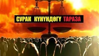 СУРАК КҮНҮНДӨГҮ  ТАРАЗА / котормо