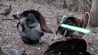 CRAZY TURKEY HUNTING! | ARCHERY DOUBLE