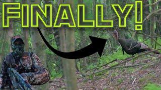 Late Season Turkey Hunting: LONGBEARD Called in by Jase Outdoors!