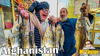 Best Street Food in Herat, Afghanistan | Famous Shoor Nokhod, Bolani & Delicious Seafood