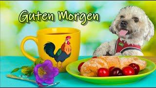 Guten Morgen  raus aus den Federn und einen schwungvollen Start in den Mittwoch  liebe Grüße ️