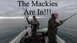 Celebrity Angler On Board - The Mackerel ARE IN!!! - Small Boat Sea Fishing - Warrior 165