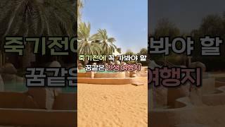 죽기전에 꼭 가봐야 할 꿈같은 인생 여행지 ️ 두바이 여행 필수 코스 ‘사막 호텔’ Telal Resort Al Ain #두바이 #아부다비